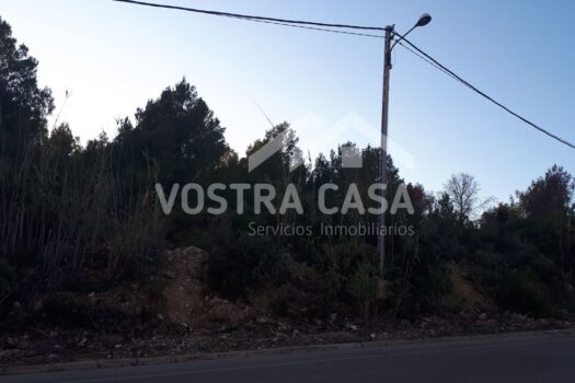 PARCELA – Torrent – 300660742_S
