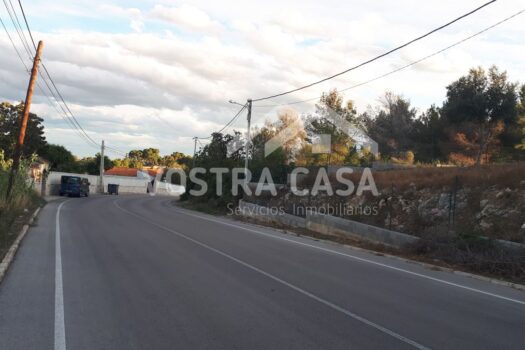 PARCELA – Torrent – 300660742_S