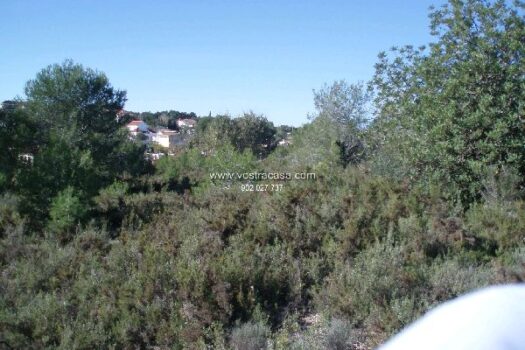 PARCELA – Chiva – 2554_S