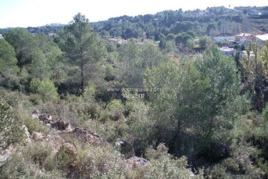 PARCELA – Chiva – 2554_S