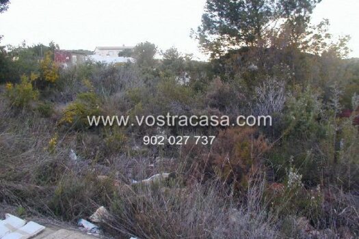 PARCELA – Turis – 1143_S