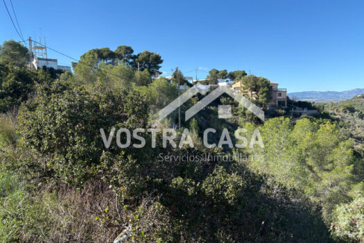 SOLAR – Chiva – 060578804_S