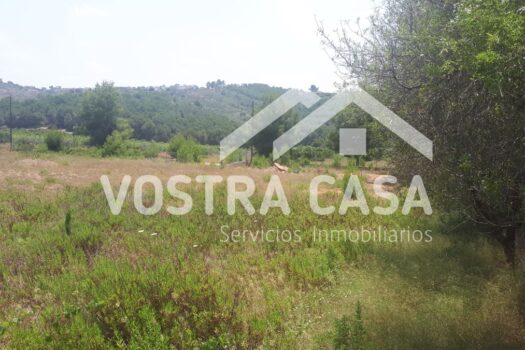 PARCELA – Godelleta – 300660748_S