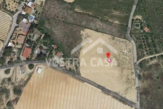 TERRENO RUSTICO – Chiva – 30091032_S