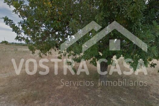 TERRENO RUSTICO – Chiva – 30091032_S