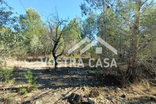 RUSTICO – Godelleta – 30101045_S