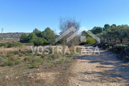 TERRENO RUSTICO – Godelleta – 30101048_S