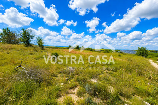TERRENO RUSTICO – Godelleta – 30101048_S
