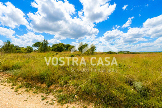TERRENO RUSTICO – Godelleta – 30101048_S