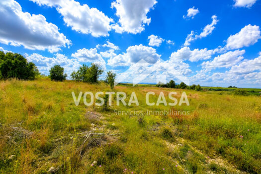 TERRENO RUSTICO – Godelleta – 30101048_S
