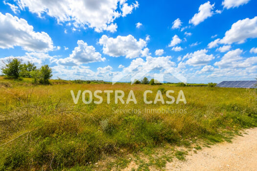 TERRENO RUSTICO – Godelleta – 30101048_S