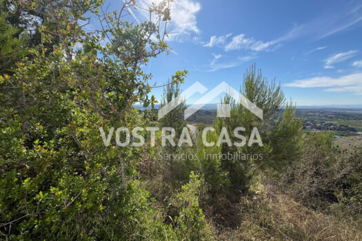 TERRENO URBANO – SOLAR – Torrent – 30061053_S