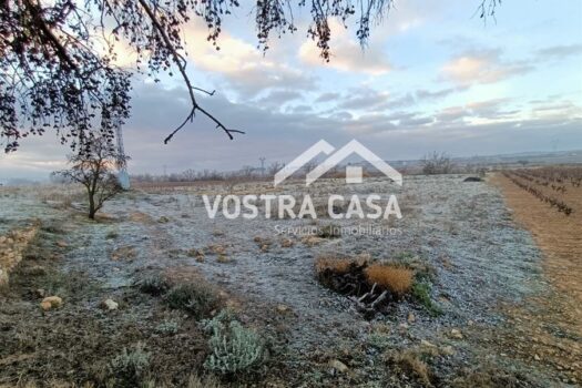 SUELO URBANO NO CONSOLIDADO – SAN ANTONIO DE REQUENA – 60575939_S