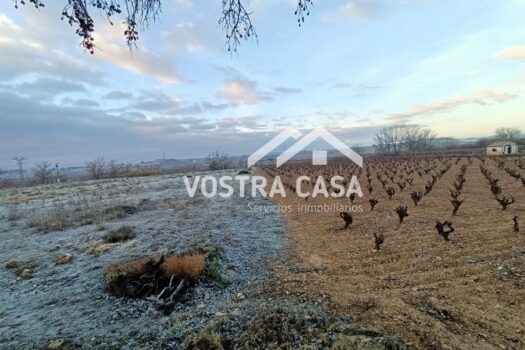 SUELO URBANO NO CONSOLIDADO – SAN ANTONIO DE REQUENA – 60575939_S