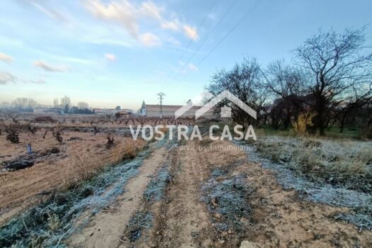 SUELO URBANO NO CONSOLIDADO – SAN ANTONIO DE REQUENA – 60575939_S