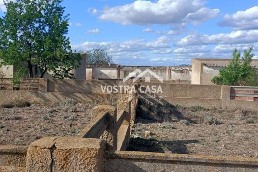 TERRENO RUSTICO – CAUDETE DE LAS FUENTES – 60579590_S