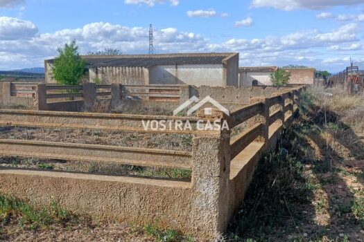 TERRENO RUSTICO – CAUDETE DE LAS FUENTES – 60579590_S