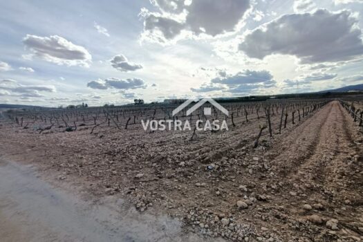 TERRENO RUSTICO – CAUDETE DE LAS FUENTES – 60579590_S