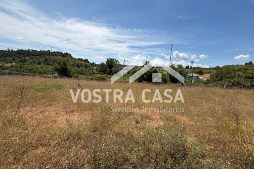 PARCELA – Godelleta – 30101074_S