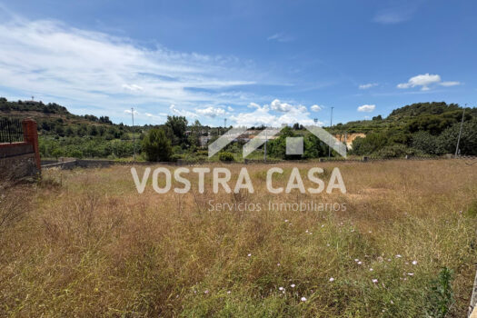 PARCELA – Godelleta – 30101074_S