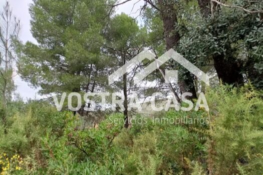 SUELO URBANIZABLE – Macastre – 1568_S