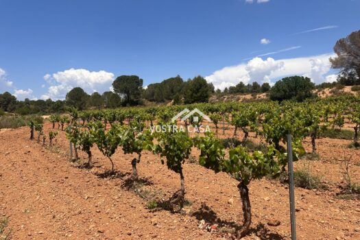 FINCA RUSTICA – Casas Del Rey – 4154_S