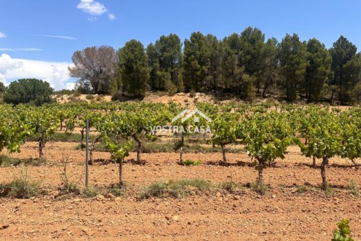 FINCA RUSTICA – Casas Del Rey – 4154_S
