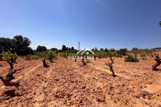 FINCA RUSTICA – Casas Del Rey – 4154_S