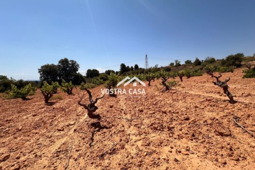 FINCA RUSTICA – Casas Del Rey – 4205_S
