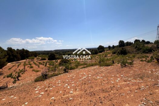 FINCA RUSTICA – Casas Del Rey – 4205_S