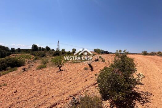 FINCA RUSTICA – Casas Del Rey – 4205_S