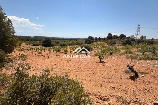 FINCA RUSTICA – Casas Del Rey – 4205_S