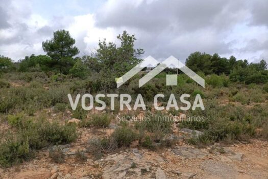 SUELO URBANIZABLE – Godelleta – 4427_S