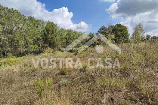 SOLAR – Siete Aguas – 007546_S