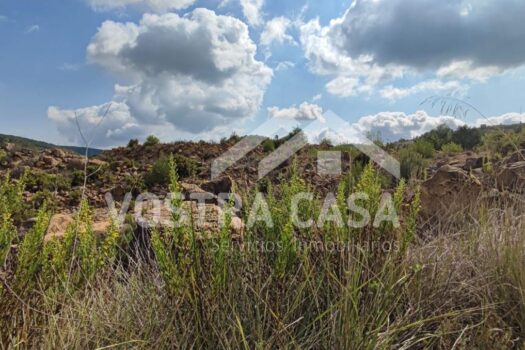 SOLAR – Siete Aguas – 007548_S