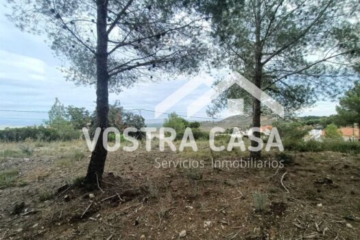 PARCELA – Torrent – 30101084_S