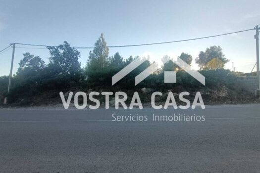 PARCELA – Torrent – 30101084_S