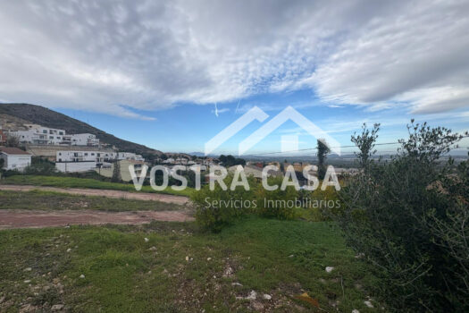 SOLAR – Chiva – 0174069_S