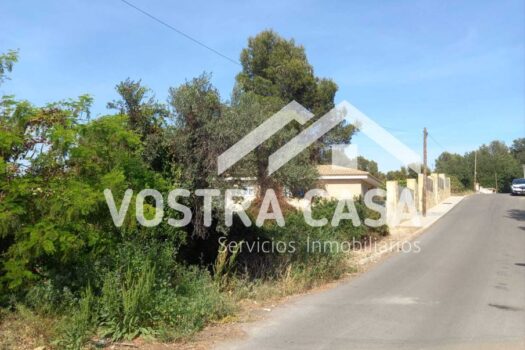 PARCELA – Chiva – 30051024_S