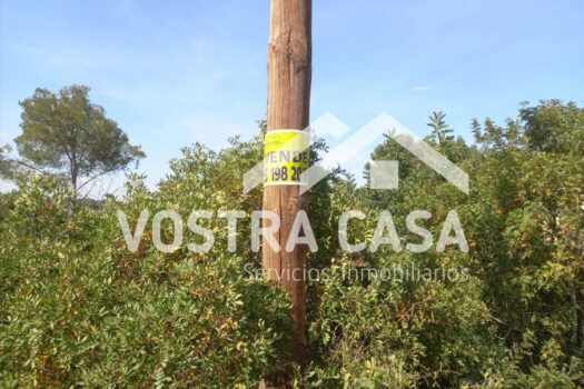 PARCELA – Chiva – 30051024_S