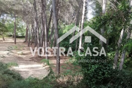 TERRENO RUSTICO – Godelleta – 30051027_S
