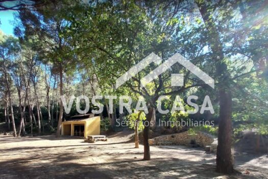 TERRENO RUSTICO – Godelleta – 30051027_S