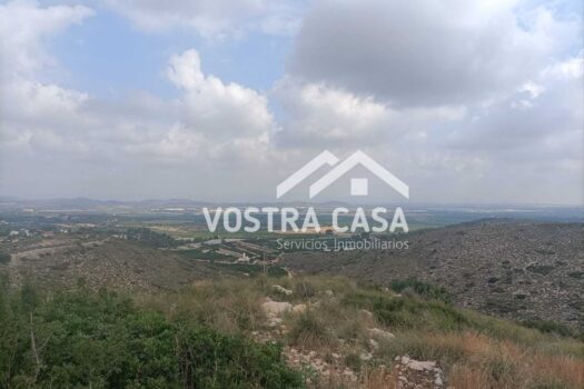 PARCELA – Torrent – 0174026_S