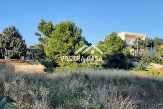 PARCELA – San Patricio – 30071085_S