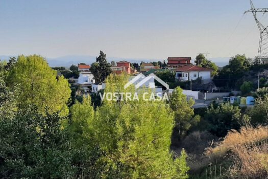 PARCELA – San Patricio – 30071085_S