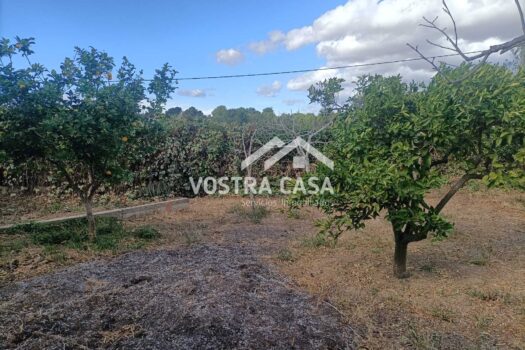 CHALET INDEPENDIENTE – Chiva – 30051044_L