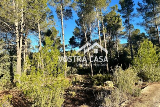 TERRENO URBANO – SOLAR – Utiel – 0019579_S