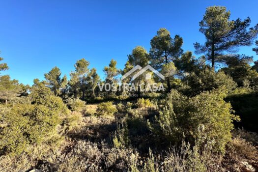 TERRENO URBANO – SOLAR – Utiel – 0019368_S