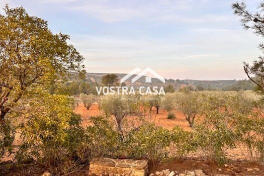 CASA DE CAMPO – Yatova – 30091053_L