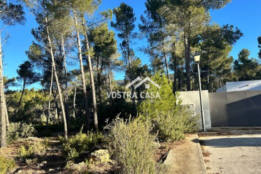 PARCELA – Utiel – 0034841_S